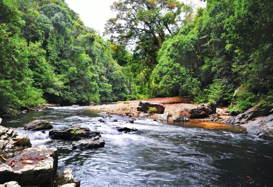Kuala Tahan, Malaysia